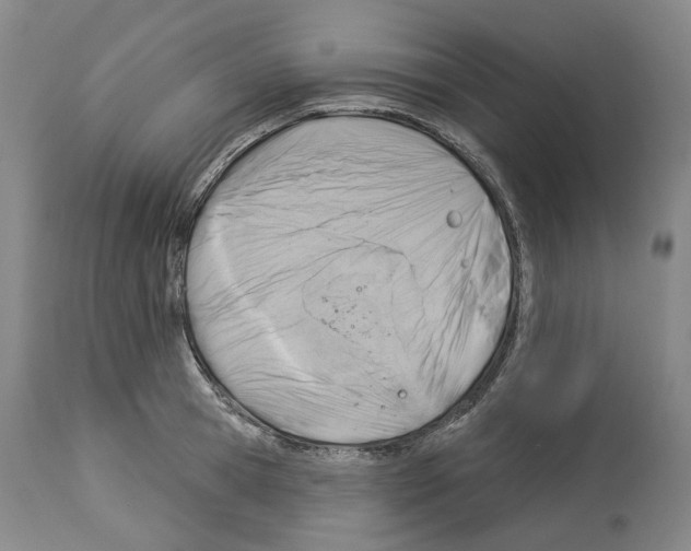 X0000114020945200911131224