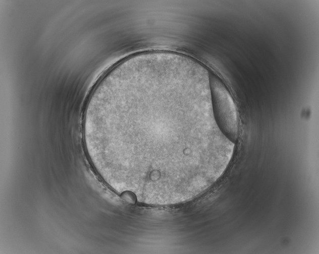 X0000114020948200911131224