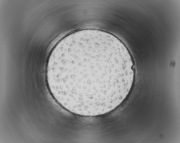 X0000114020949200911131224