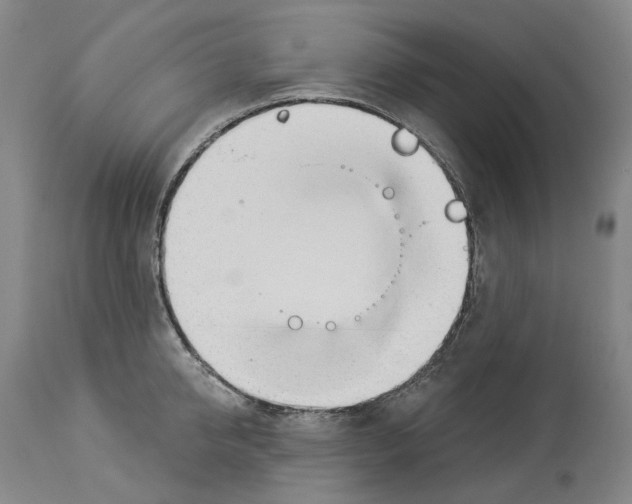 X0000114020950200911131224