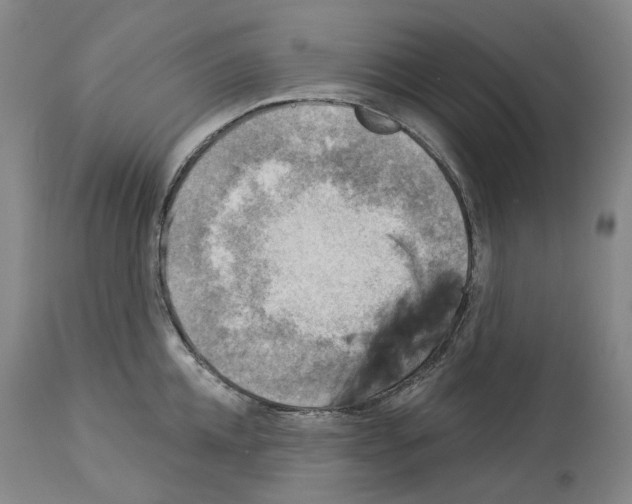 X0000114020952200911131224