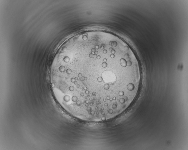 X0000114020953200911131224