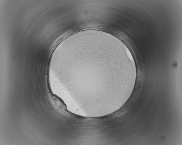 X0000114020954200911131224