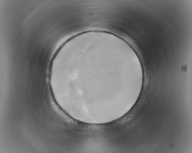 X0000114020958200911131224