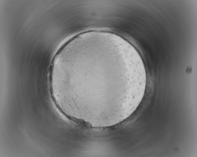 X0000114020959200911131224