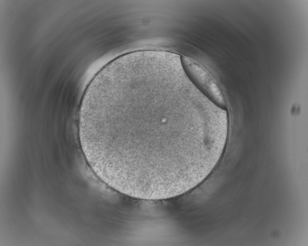 X0000114020960200911131224