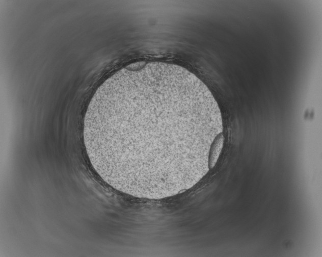 X0000114020961200911131223