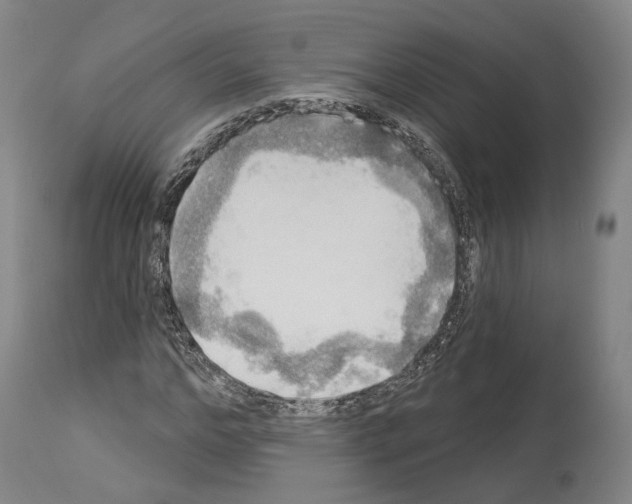 X0000114020968200911131223