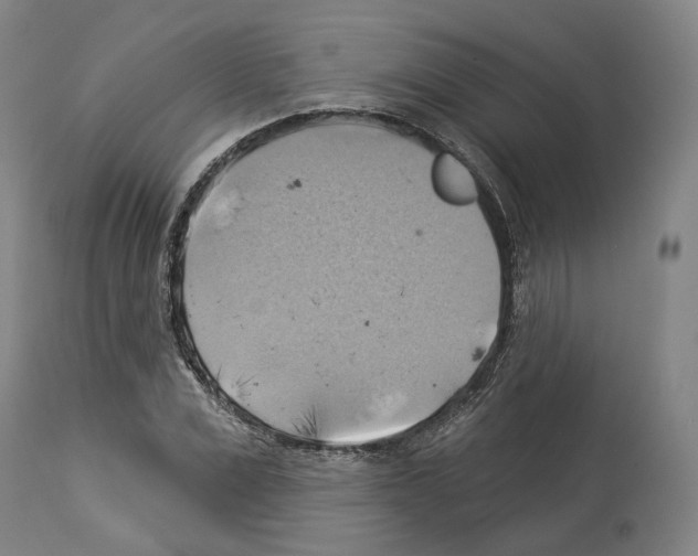 X0000114020975200911131223