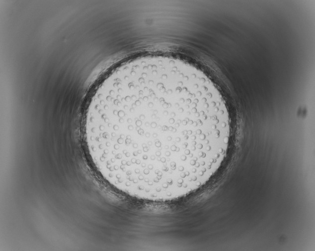 X0000114020978200911131223