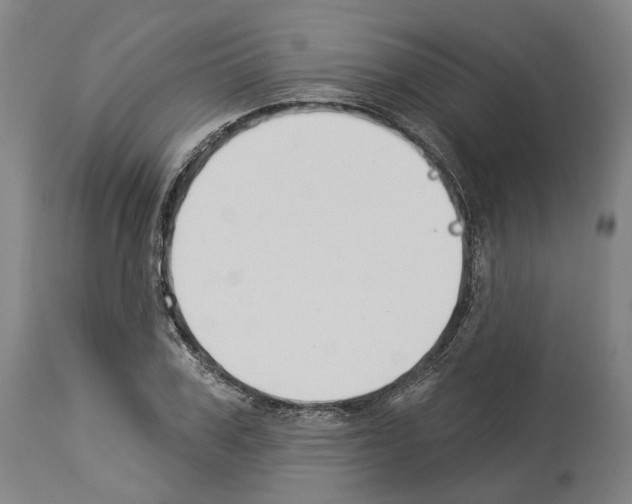 X0000114020979200911131223