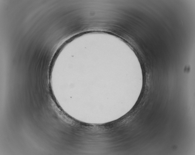 X0000114020980200911131223