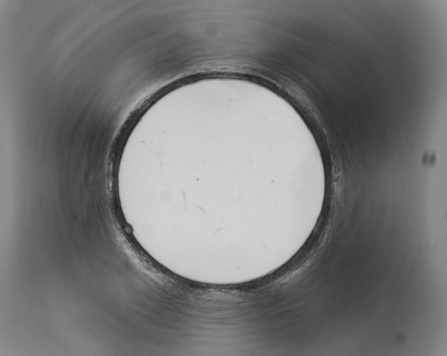 X0000114020981200911131223