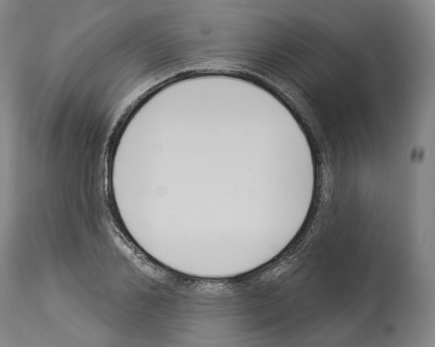 X0000114020982200911131223