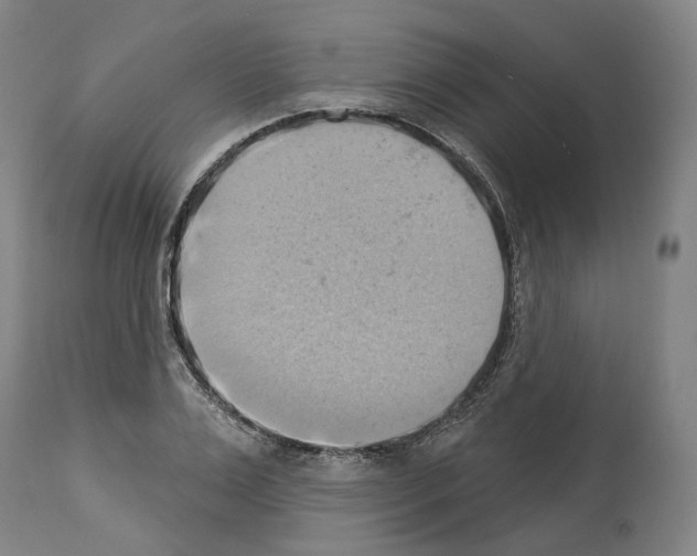 X0000114020983200911131223