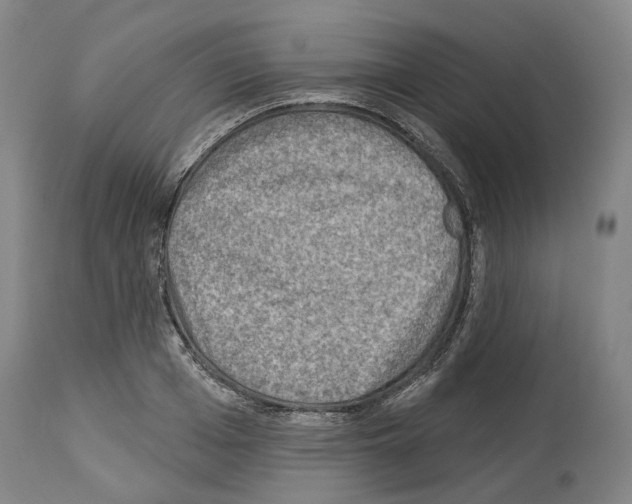 X0000114020985200911131223