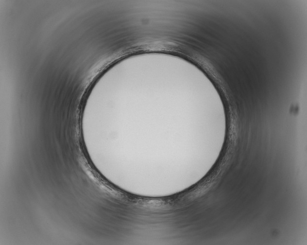 X0000114020986200911131223