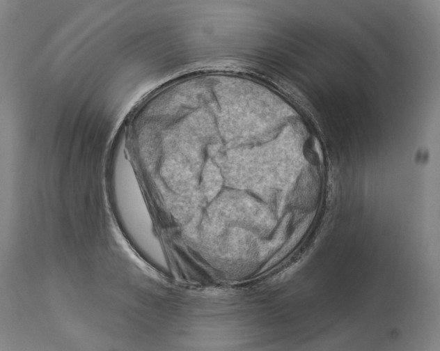 X0000114020989200911131223