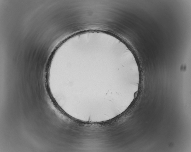 X0000114020991200911131223