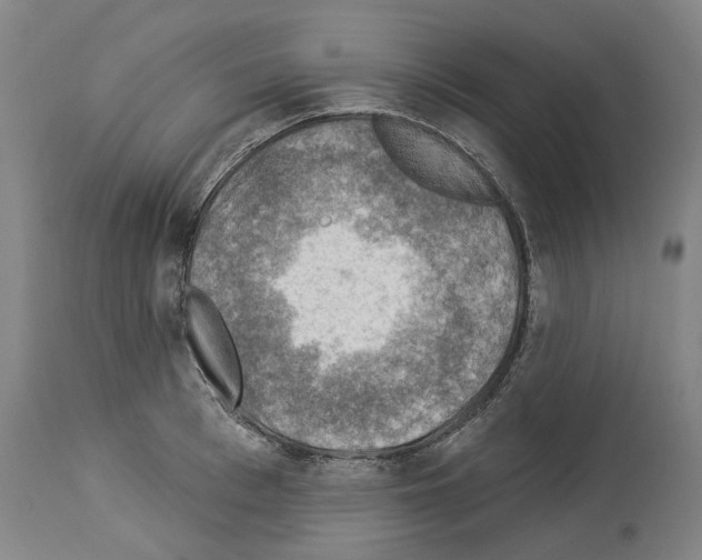 X0000114020993200911131222