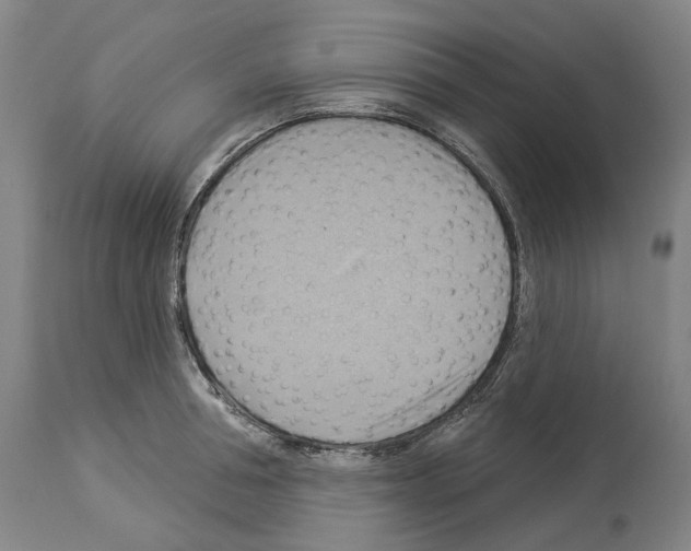 X0000114020994200911131222