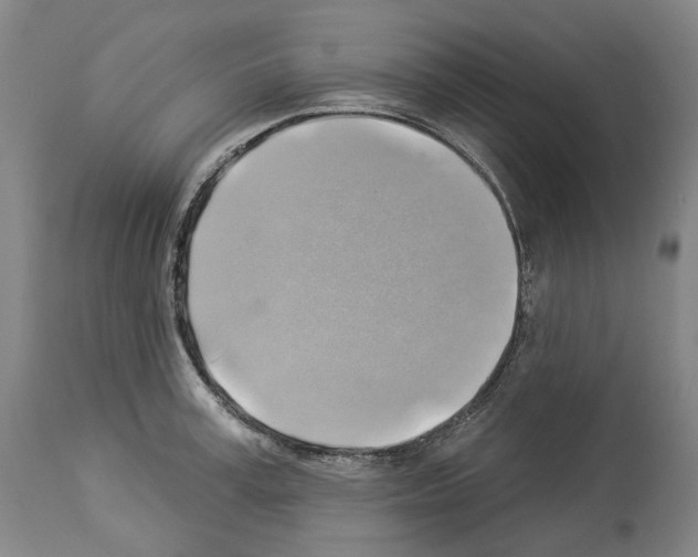 X0000114020995200911131222