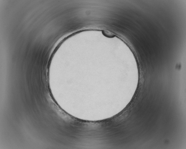 X0000114020996200911131222