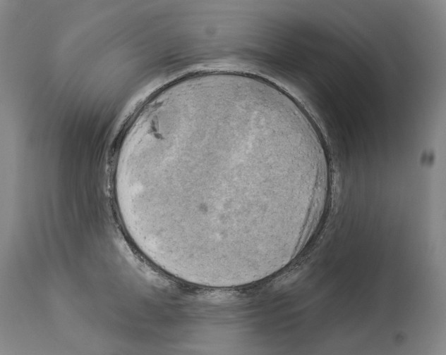 X0000114020998200911131222