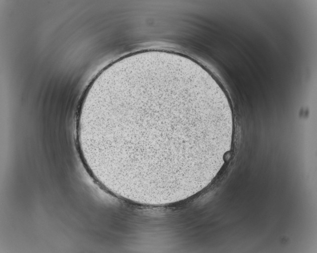 X0000114020999200911131222