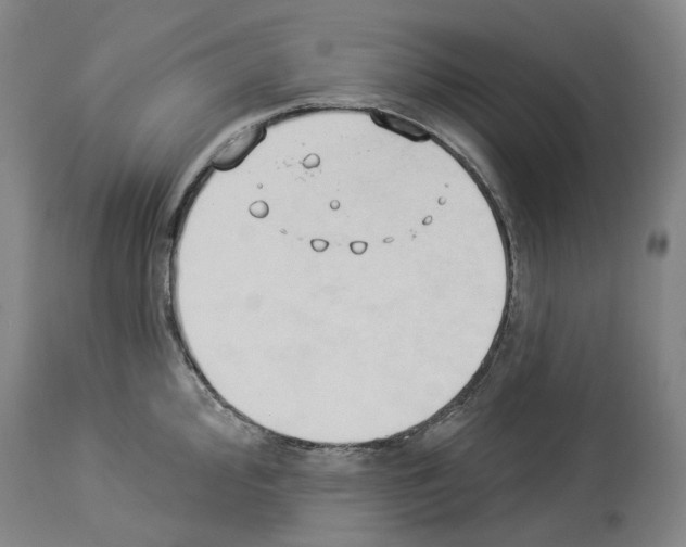 X0000114021000200911131222