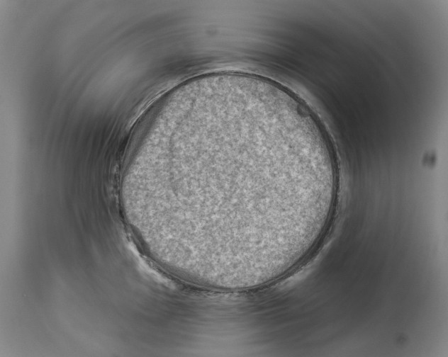 X0000114021001200911131222