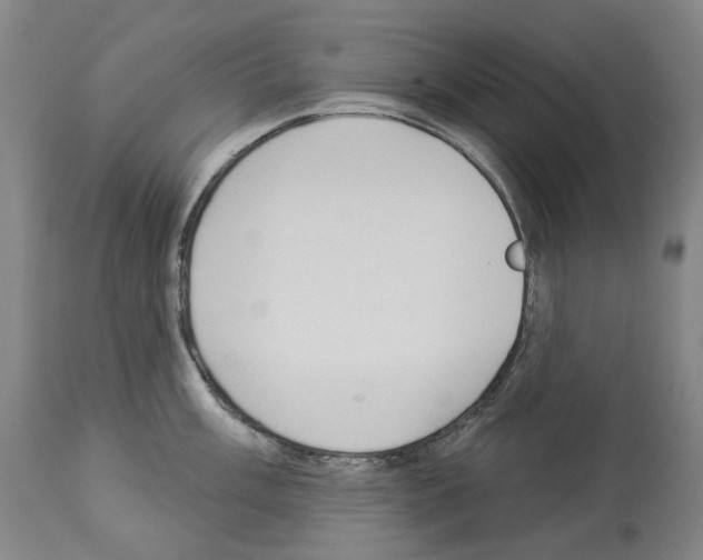 X0000114021003200911131222