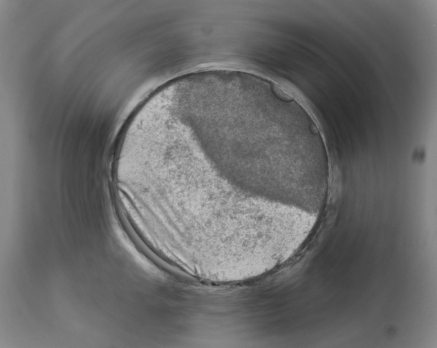 X0000114021005200911131222