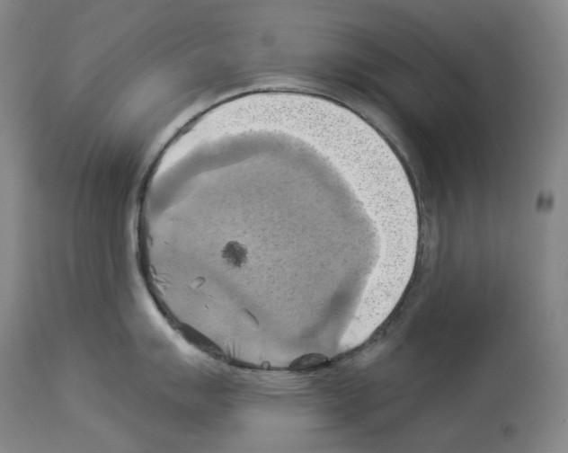 X0000114021007200911131222