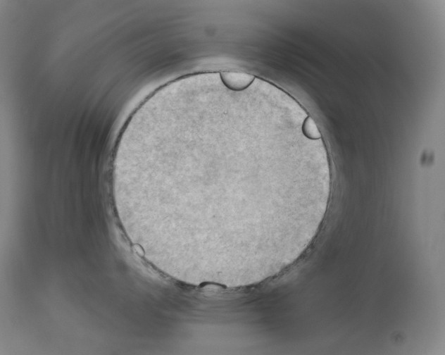 X0000114021008200911131222