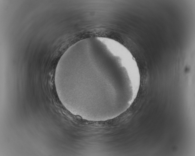 X0000114021010200911131221