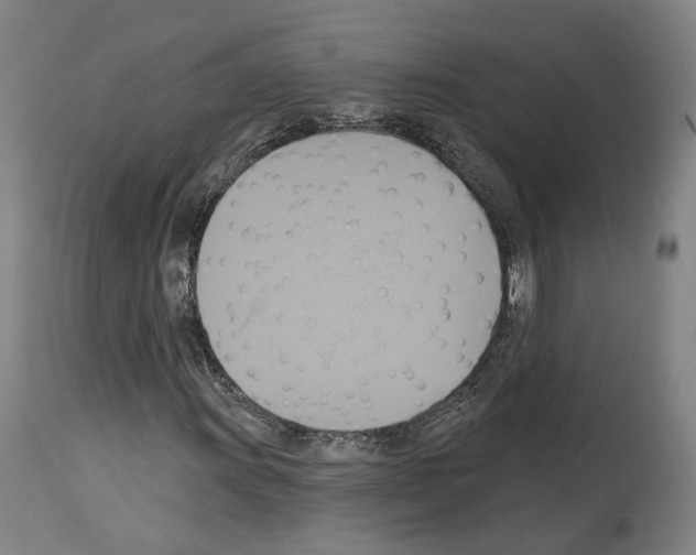 X0000114021011200911131222