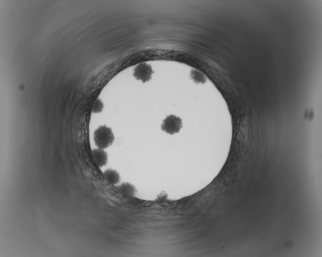 X0000114021014200911131222