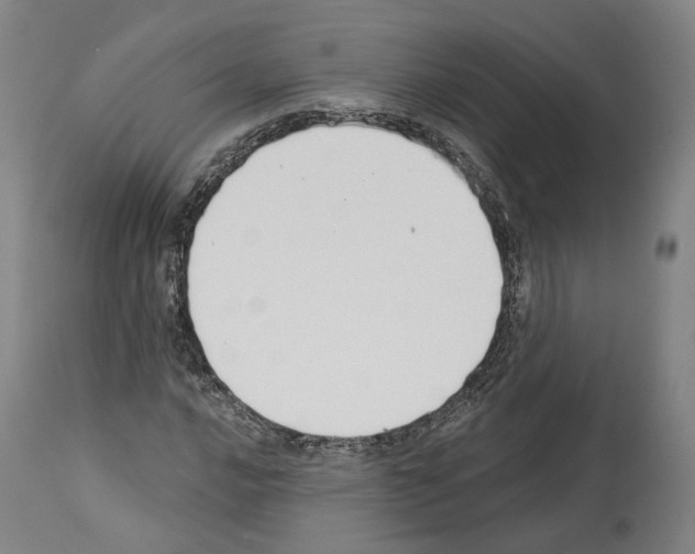 X0000114021016200911131222