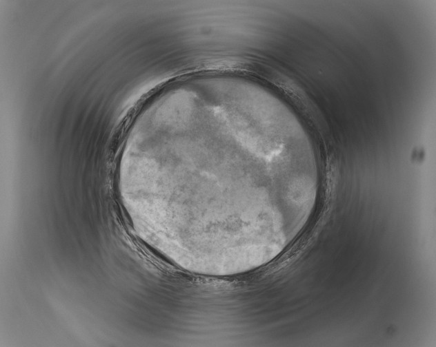 X0000114021019200911131222