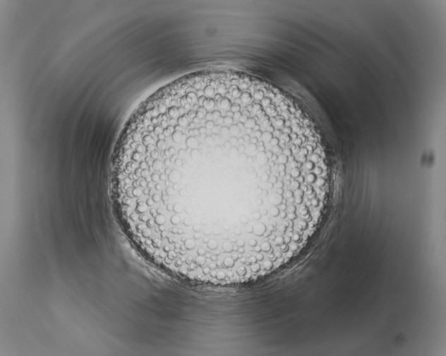 X0000114021020200911131222