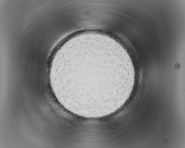 X0000114021021200911131222