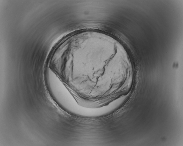 X0000114021024200911131222