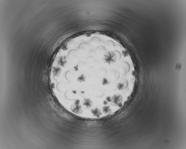 X0000114021025200911131222