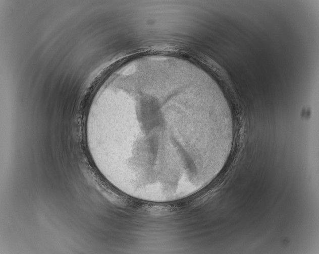 X0000114021027200911131222