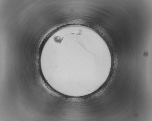 X0000114021029200911131222