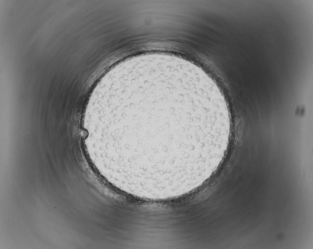 X0000114021033200911131222