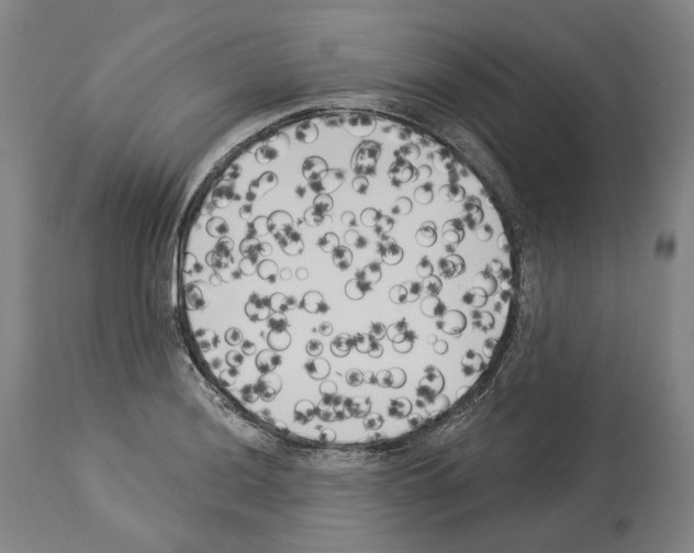 X0000114021036200911131222