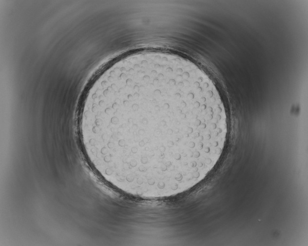 X0000114021037200911131222