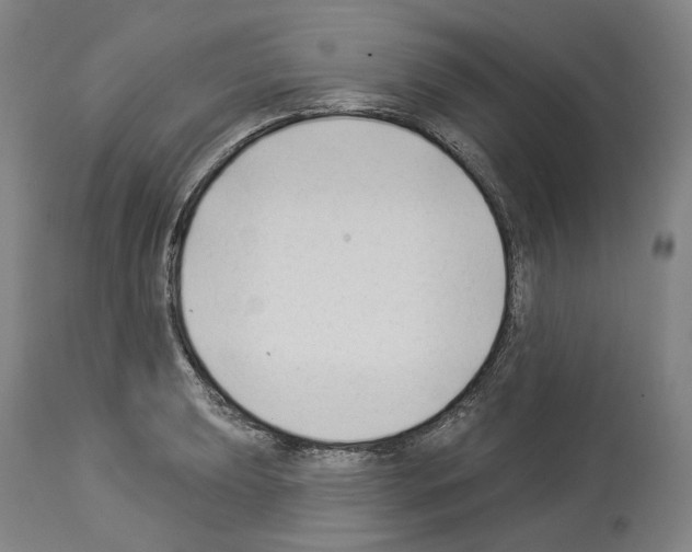 X0000114021039200911131222